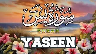 Only Surah Yaseen Full Tilawat 2025 ( سورہ یٰس ) Kitabullah Sr Video