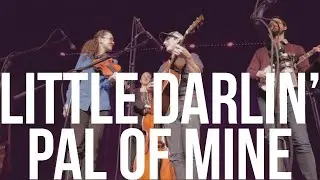 Little Darlin' Pal of Mine - Reed Stutz, Ella Jordan, Brittany Karlson, Eli Gilbert