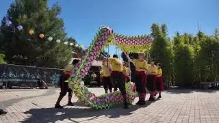 CWS Bendigo Easter Festival 2024 - Dragon Dance