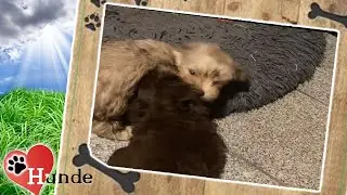 Kleine Machtkämpfe