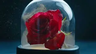 ASMR Hyper-Realistic Textures, Cinematic Focus & Deep Shadows in Uncanny Digital Worlds