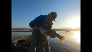 Remembering My Lake Success PB @ 6.02 LBs
