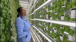 Veteran-Owned Vertical Farm Carries on Family Ag Tradition