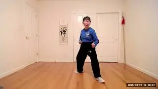Basic Taijiquan Drills: 8 Methods and 5 Stepping Routines: Part 1 of 2