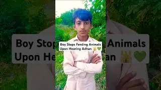 Boy Stops Feeding Animals Upon Hearing Adhan 🕌💚 #azan #islamicshorts #shorts