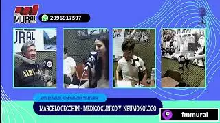 RADIO MURAL EN VIVO