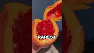 facts || rarest fruits you must see #facts #viral #shorts