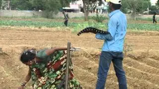 Use of Manual Vegetable Sapling Transplanter