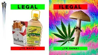 &iquest;LAS DROGAS DEBEN DE SER LEGALES? 💊