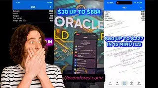 Oracle Gold Scalper EA MT4 Review Signal and Input - Super EA Trading Gold | EcomForex