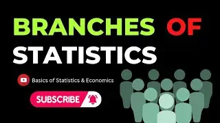 branches of Statistics