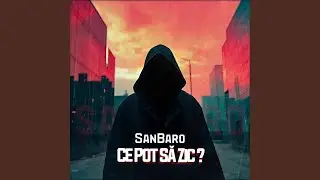 Ce Pot Să Zic?