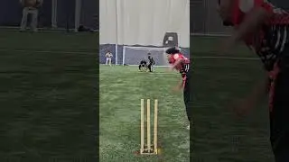 Almost Caught. #pakistan #india #usa #cricket