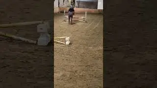 Big jumpppp.  (Not me⚠️) #horse #equestrianjourney #equestrian #pony #lifeisbutadream