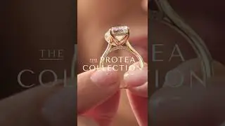 Meet the Protea Collection: Petal Gallery Engagement Rings & Tiara-Style Wedding Bands | Moi Moi