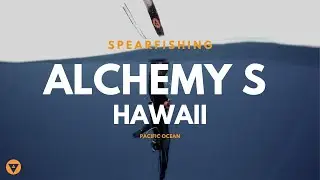 Alchemy S | Carbon Spearfishing Fins | Hawaii