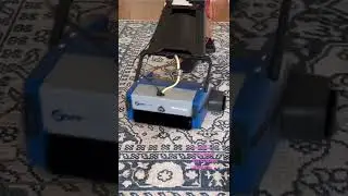 Rug cleaning, Melbourne