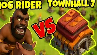 TH7 Destroyed by Hog Riders! 💥 Best Hog Attack Strategy #coc #townhall7 