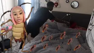 ROACHES IN BED PRANK ON HALI *She Cries