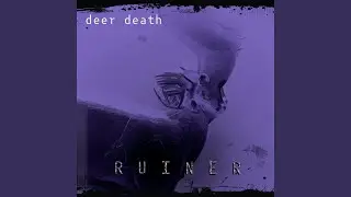 ruiner