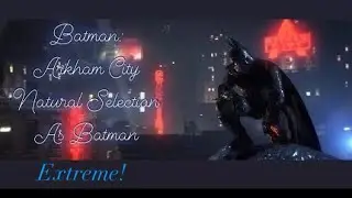 Batman: Arkham City Natural Selection(Extreme)