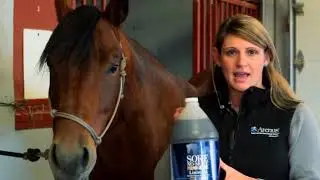 Sore No-More Performance Liniment