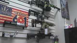 ATF &lsquo;Stabilizing Brace&rsquo; ruling to impact millions of gun owners and dealers