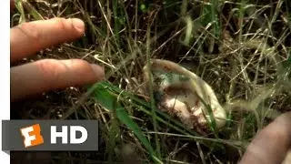 Blue Velvet (1/11) Movie CLIP - That's a Human Ear (1986) HD