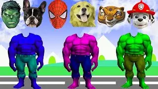 Wrong Heads Top SuperheroesㅣWrong Superheroes PuzzleㅣSpiderman Save Team Hulk #shorts
