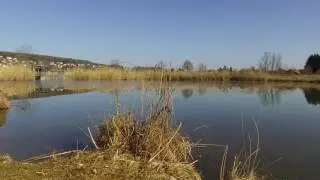 Balade vers l'étang Corbat de Porrentruy Ajoie - Jura