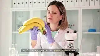 crazy facts about |venus|octupous|Banana