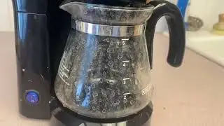 BLACK+DECKER 5-Cup Coffee Maker: Honest Review (2026)