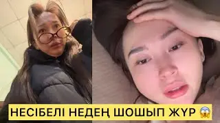 НЕСІБЕЛІ НЕДЕҢ ШОШЫП ЖҮР 😱