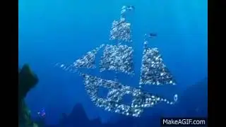 Finding Nemo the musical moonfish marlin Dory Bruce chum anchor Flickr just keep swimming 