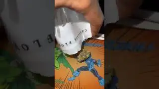 Jungle Boys motor breath🔥😶&zwj;🌫️