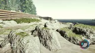 Floresta novamente