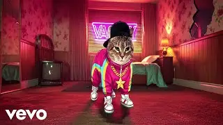 XertXetin - OIIA OIIA RETRO Spinning CAT (Official Music Video)