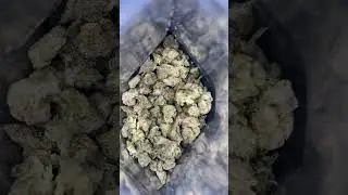 La pop rocks micro exotic #hempcommunity #weedcommunity #thcareview #youtube