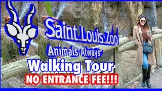 St. Louis ZOO in the USA🇺🇸 | by Teacher Elaine