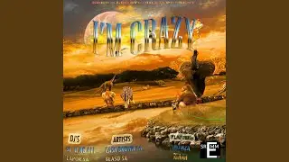 I'm Crazy (feat. Shumza, Rinah, ST-II NG 911 & CAPOR SA)