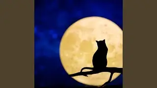 Late for Nothing