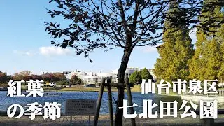 仙台市泉区の七北田公園
