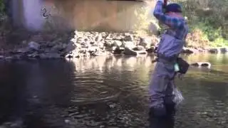 Fly Fishing The Big Flat Brook in NJ