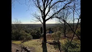 Kurze Reisen #6 Lüneburger Heide