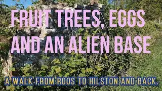 Fruit trees, eggs and an Alien Base