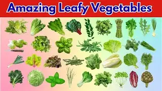 Leafy Vegetables | Discover Leafy Greens | Fun Vegetable Facts for Kids | Healthy Eating