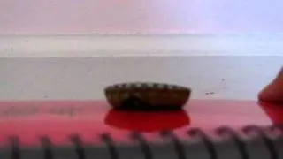 How to Remove Bottle Cap Liners Tutorial