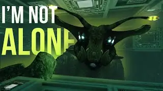SUBNAUTICA'S BIGGEST SECRET REVEALED!