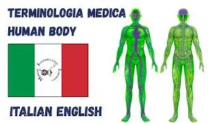6 sangue Il corpo Umano terminologia medica | Medical terminology  #italianlanguage