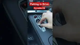 Putting in drive | Corvette C8 2LT #shorts
